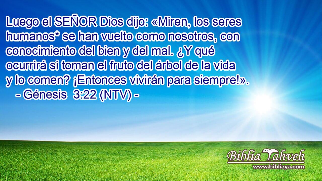 Luego el SEÑOR Dios dijo: «Miren, los seres humanos* se han vuelto como nosotros, con conocimiento del bien y del mal. ¿Y qué ocurrirá si toman el fruto del árbol de la vida y lo comen? ¡Entonces vivirán para siempre!».