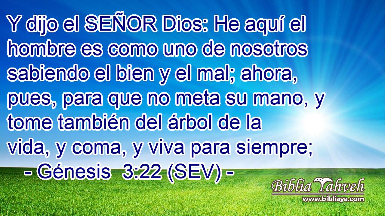 Y dijo el SEÑOR Dios: He aquí el hombre es como uno de nosotros sabiendo el bien y el mal; ahora, pues, para que no meta su mano, y tome también del árbol de la vida, y coma, y viva para siempre;
