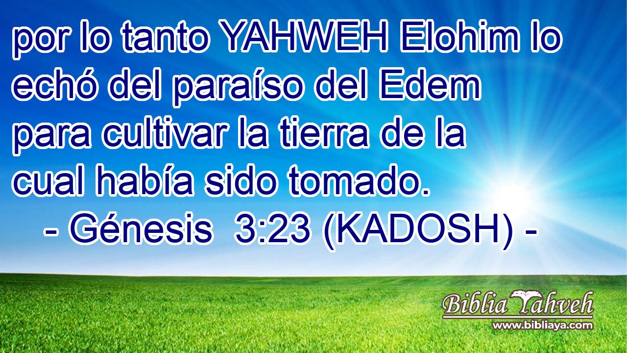  por lo tanto YAHWEH Elohim lo echó del paraíso del Edem para cultivar la tierra de la cual había sido tomado. 
