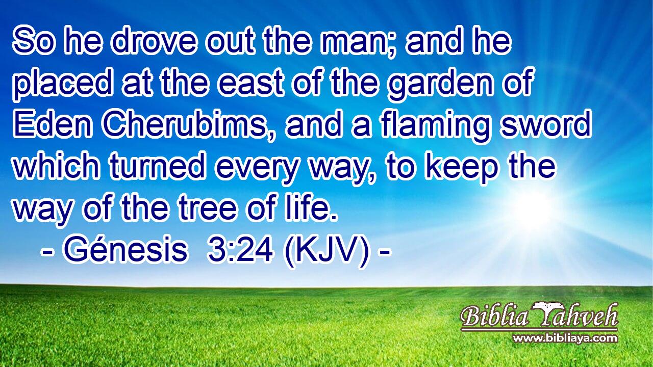 So he drove out the man; and he placed at the east of the garden of Eden Cherubims, and a flaming sword which turned every way, to keep the way of the tree of life.