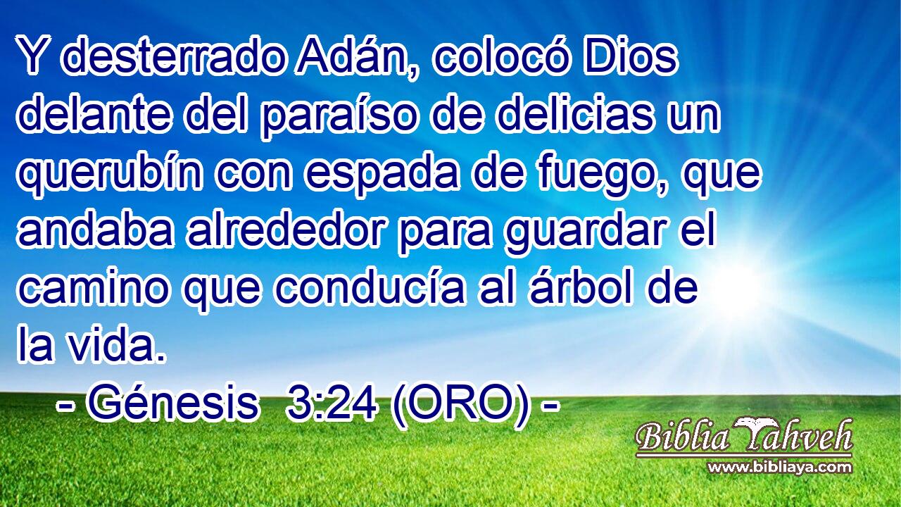  Y desterrado Adán, colocó Dios delante del paraíso de delicias un querubín con espada de fuego, que andaba alrededor para guardar el camino que conducía al árbol de la vida. 
