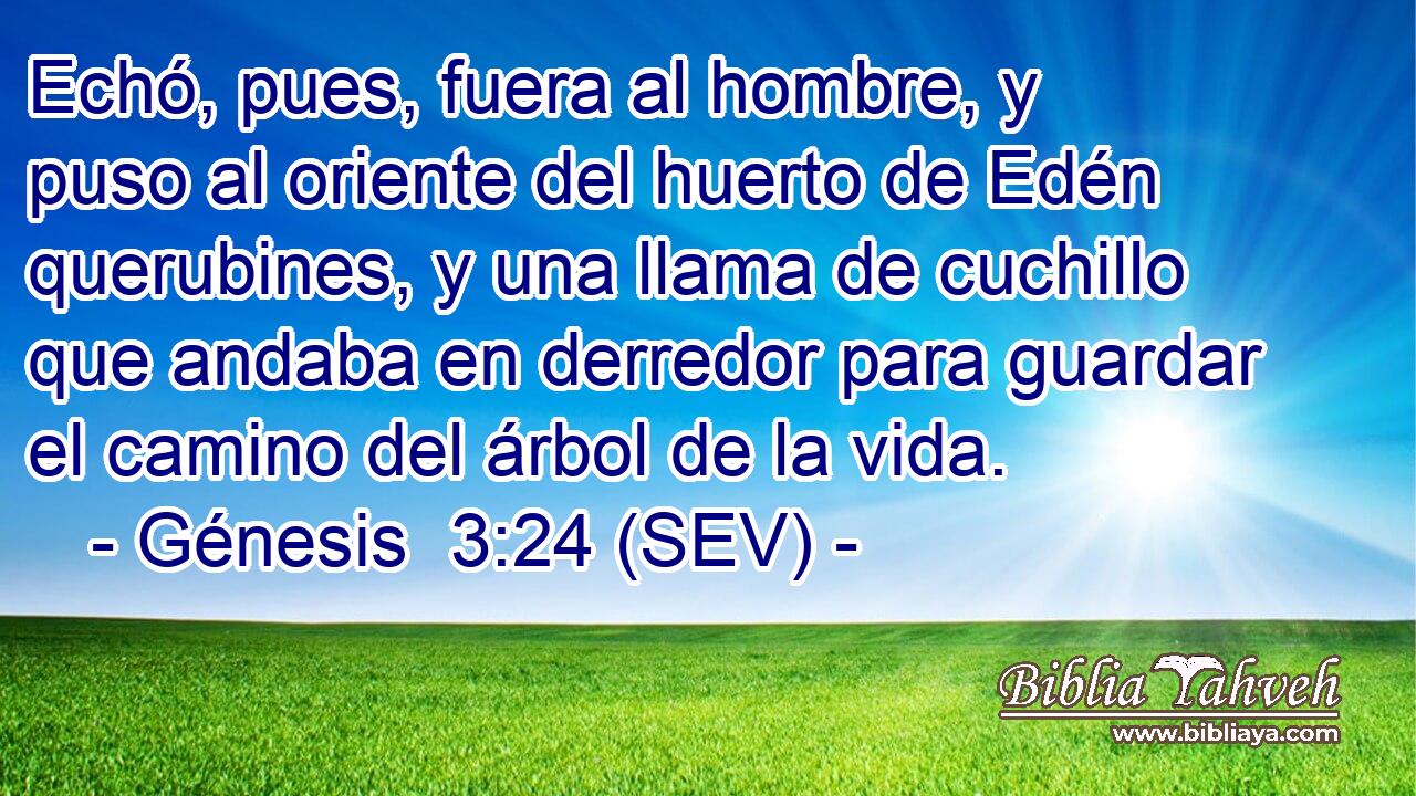 Echó, pues, fuera al hombre, y puso al oriente del huerto de Edén querubines, y una llama de cuchillo que andaba en derredor para guardar el camino del árbol de la vida.