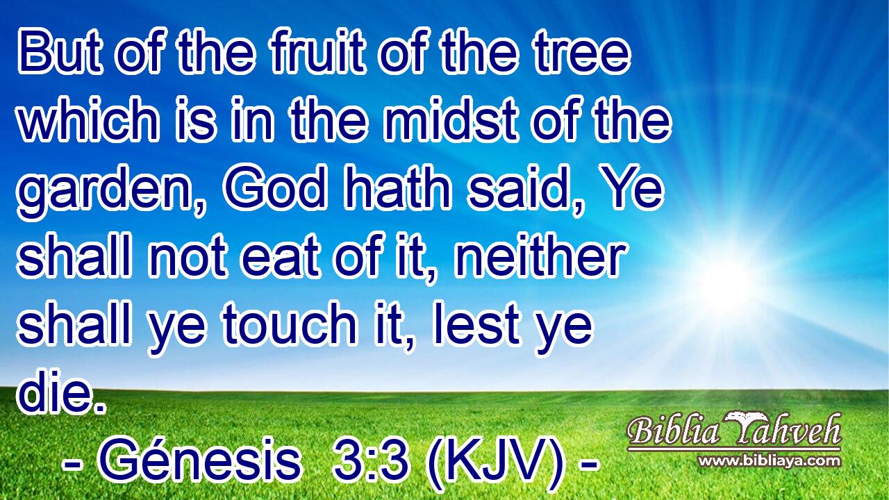 But of the fruit of the tree which is in the midst of the garden, God hath said, Ye shall not eat of it, neither shall ye touch it, lest ye die.