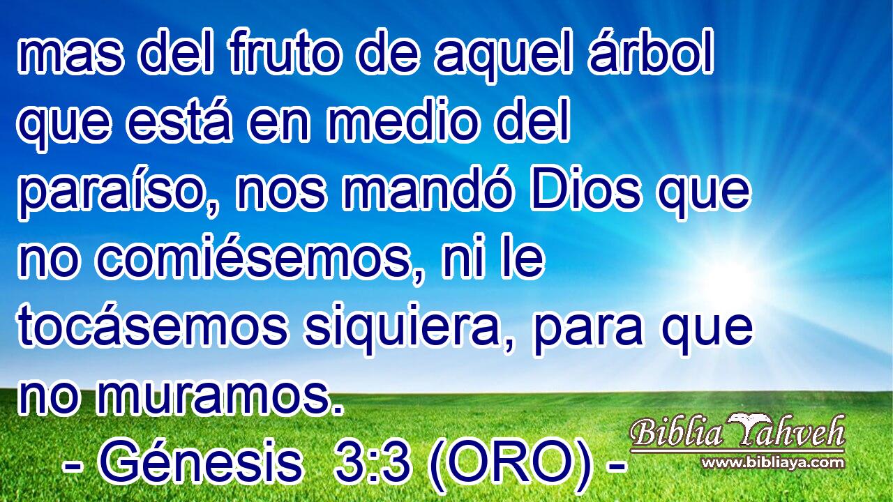  mas del fruto de aquel árbol que está en medio del paraíso, nos mandó Dios que no comiésemos, ni le tocásemos siquiera, para que no muramos. 