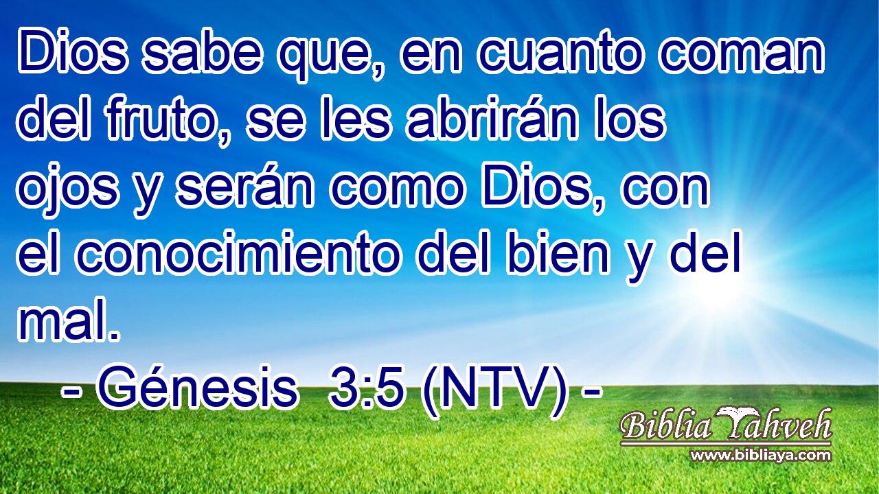 Dios sabe que, en cuanto coman del fruto, se les abrirán los ojos y serán como Dios, con el conocimiento del bien y del mal.
