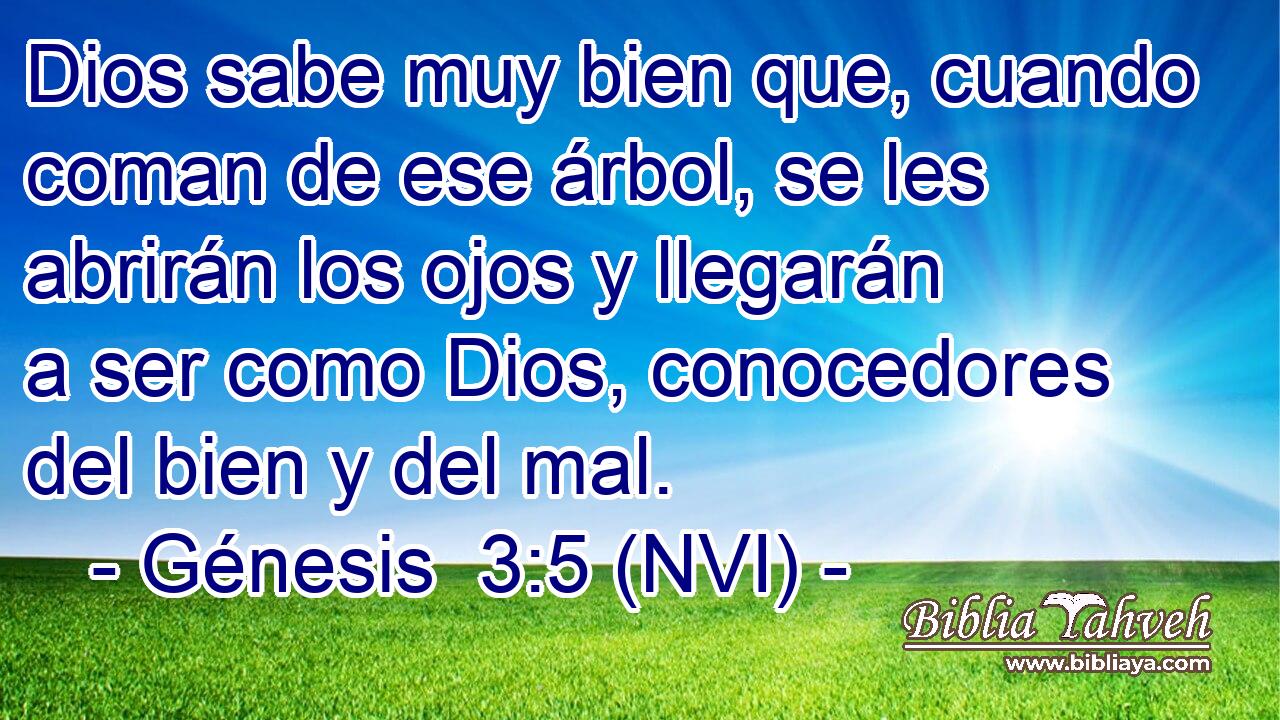  Dios sabe muy bien que, cuando coman de ese árbol, se les abrirán los ojos y llegarán a ser como Dios, conocedores del bien y del mal. 