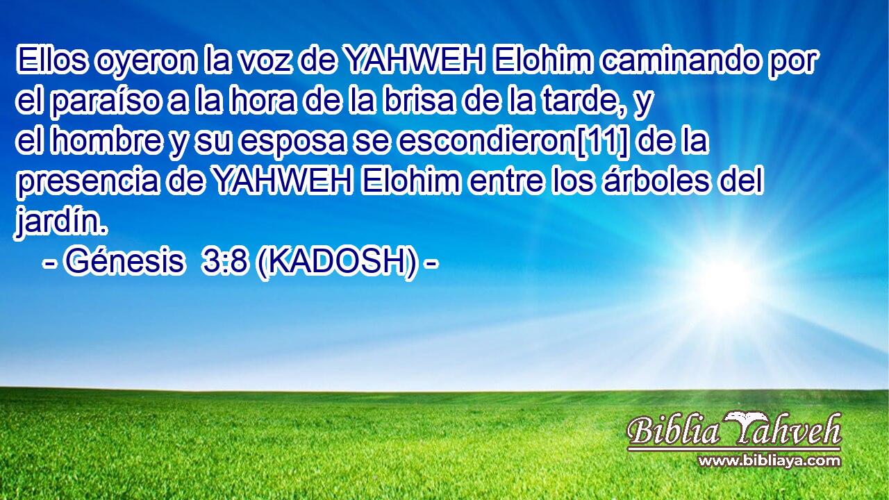  Ellos oyeron la voz de YAHWEH Elohim caminando por el paraíso a la hora de la brisa de la tarde, y el hombre y su esposa se escondieron[11] de la presencia de YAHWEH Elohim entre los árboles del jardín. 