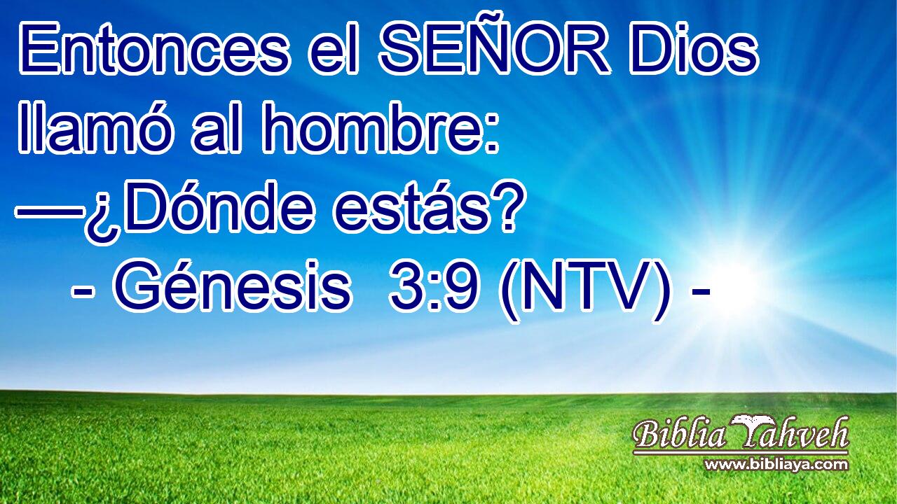 Entonces el SEÑOR Dios llamó al hombre: —¿Dónde estás?