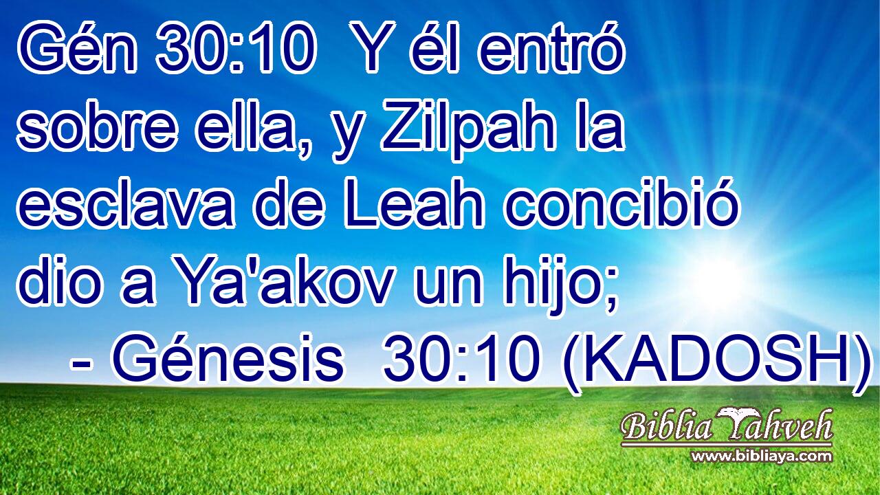  Y él entró sobre ella, y Zilpah la esclava de Leah concibió dio a Ya'akov un hijo; 