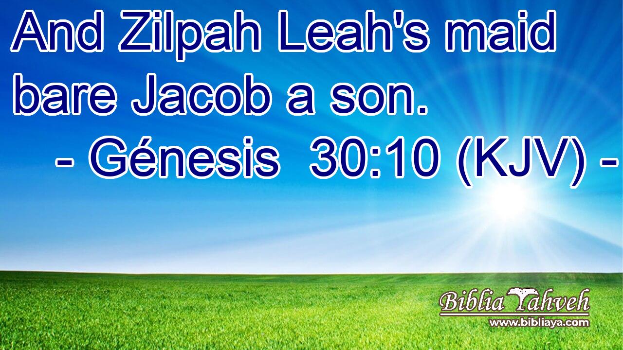 And Zilpah Leah's maid bare Jacob a son.