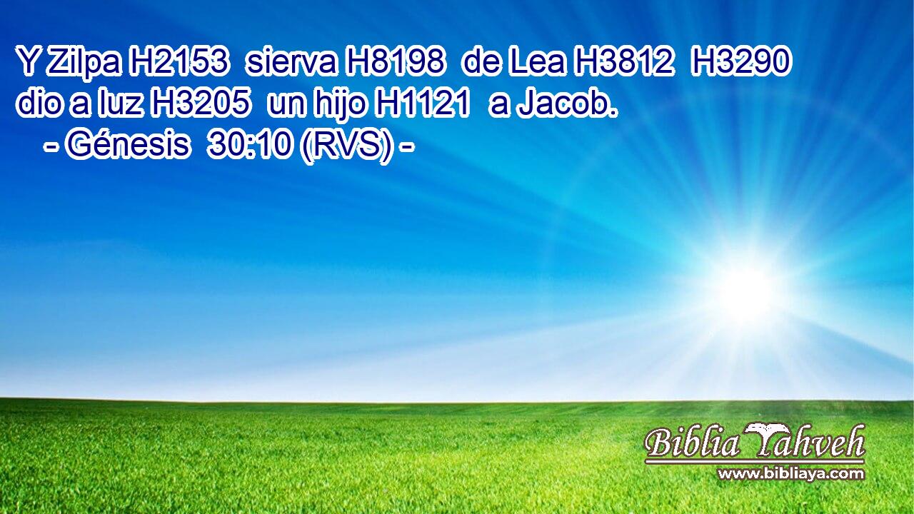 Y Zilpa H2153  sierva H8198  de Lea H3812  H3290 dio a luz H3205  un hijo H1121  a Jacob. 