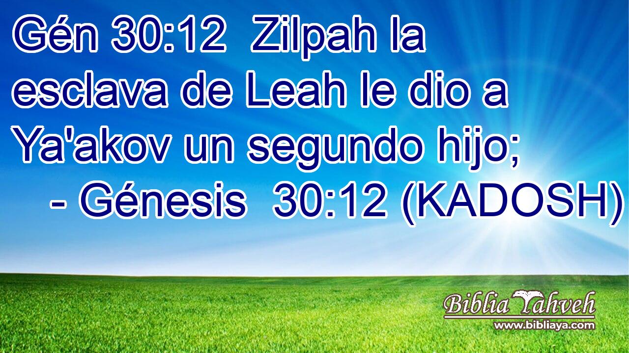  Zilpah la esclava de Leah le dio a Ya'akov un segundo hijo; 