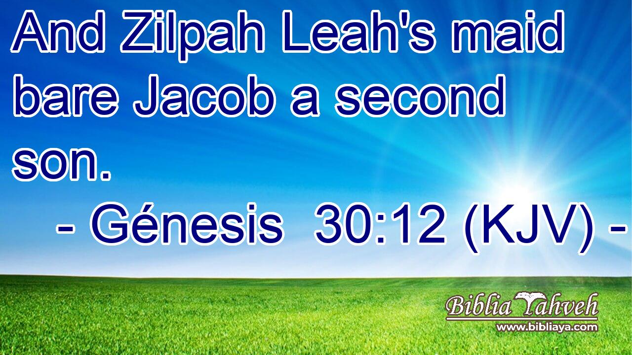 And Zilpah Leah's maid bare Jacob a second son.