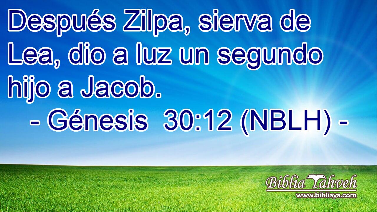  Después Zilpa, sierva de Lea, dio a luz un segundo hijo a Jacob. 
