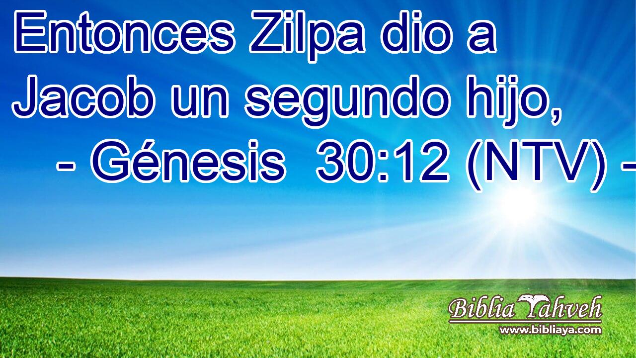 Entonces Zilpa dio a Jacob un segundo hijo,