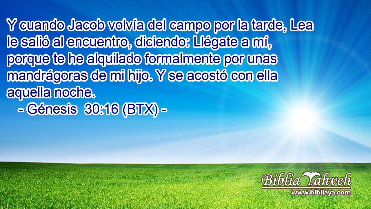 Y cuando Jacob volvía del campo por la tarde, Lea le salió al encuentro, diciendo: Llégate a mí, porque te he alquilado formalmente por unas mandrágoras de mi hijo. Y se acostó con ella aquella noche.
