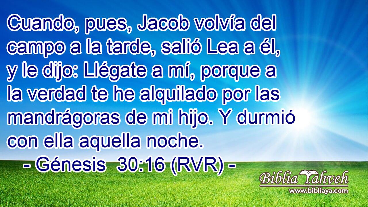 Cuando, pues, Jacob volvía del campo a la tarde, salió Lea a él, y le dijo: Llégate a mí, porque a la verdad te he alquilado por las mandrágoras de mi hijo. Y durmió con ella aquella noche.