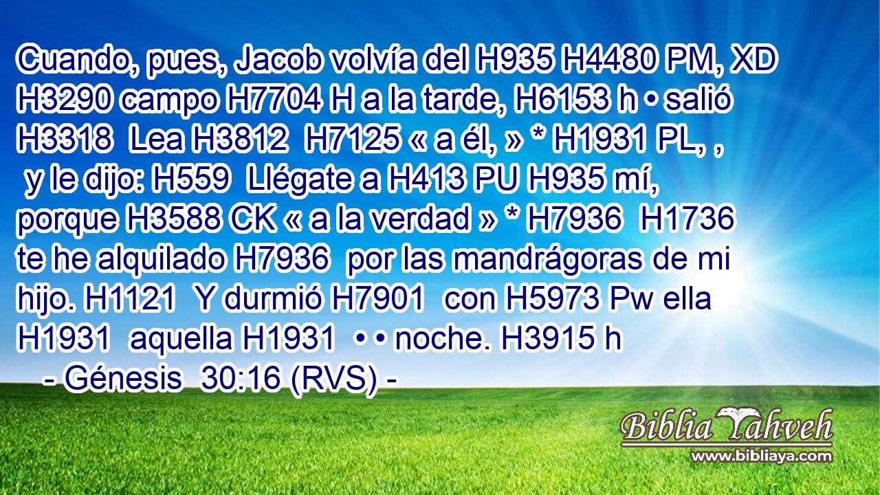 Cuando, pues, Jacob volvía del H935 H4480 PM, XD H3290 campo H7704 H a la tarde, H6153 h • salió H3318  Lea H3812  H7125 « a él, » * H1931 PL, ,  y le dijo: H559  Llégate a H413 PU H935 mí, porque H3588 CK « a la verdad » * H7936  H1736 te he alquilado H7936  por las mandrágoras de mi hijo. H1121  Y durmió H7901  con H5973 Pw ella H1931  aquella H1931  • • noche. H3915 h 
