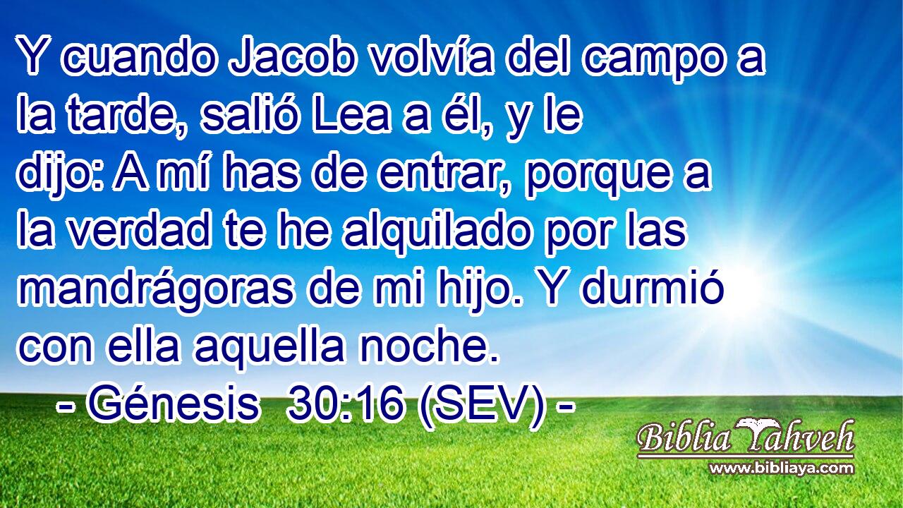 Y cuando Jacob volvía del campo a la tarde, salió Lea a él, y le dijo: A mí has de entrar, porque a la verdad te he alquilado por las mandrágoras de mi hijo. Y durmió con ella aquella noche.