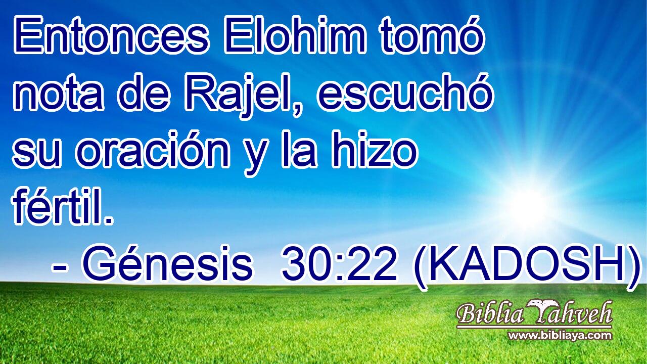  Entonces Elohim tomó nota de Rajel, escuchó su oración y la hizo fértil. 