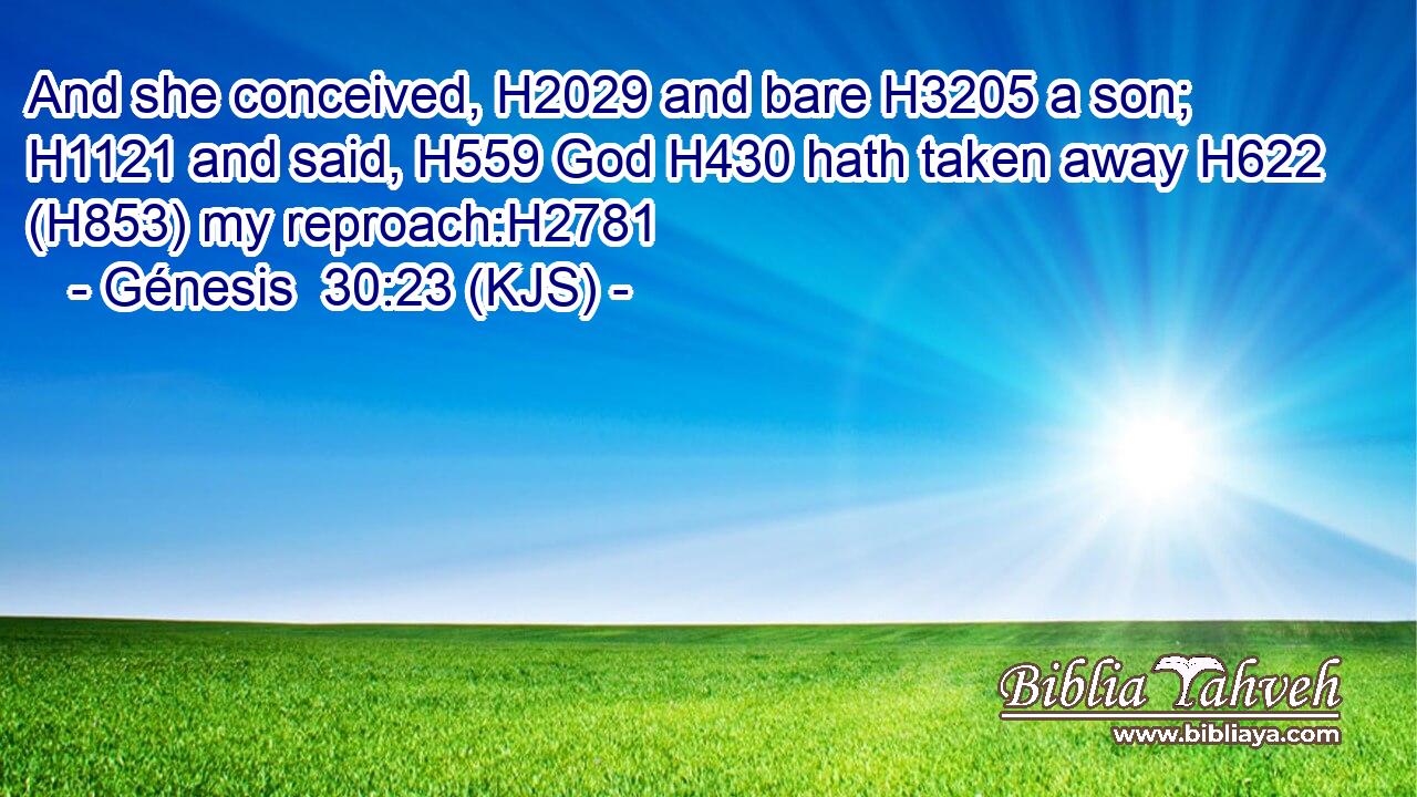 And she conceived, H2029 and bare H3205 a son; H1121 and said, H559 God H430 hath taken away H622 (H853) my reproach:H2781