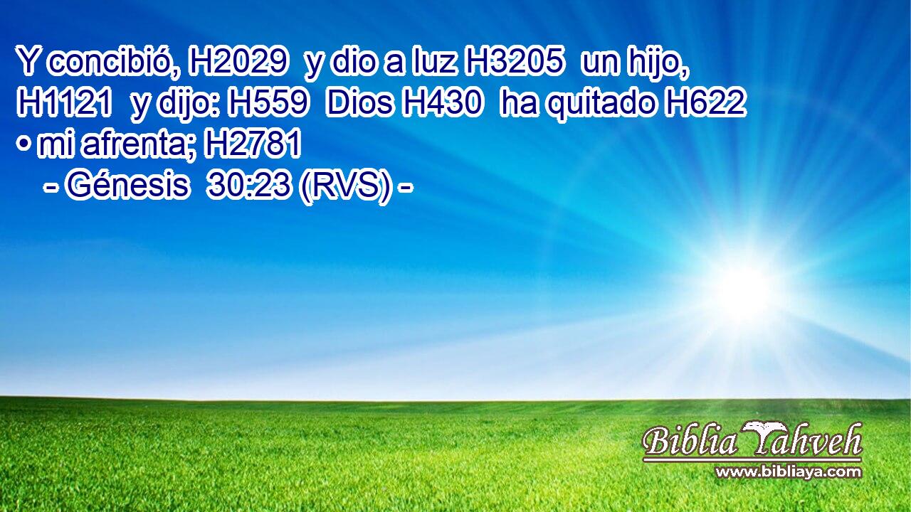 Y concibió, H2029  y dio a luz H3205  un hijo, H1121  y dijo: H559  Dios H430  ha quitado H622  • mi afrenta; H2781  