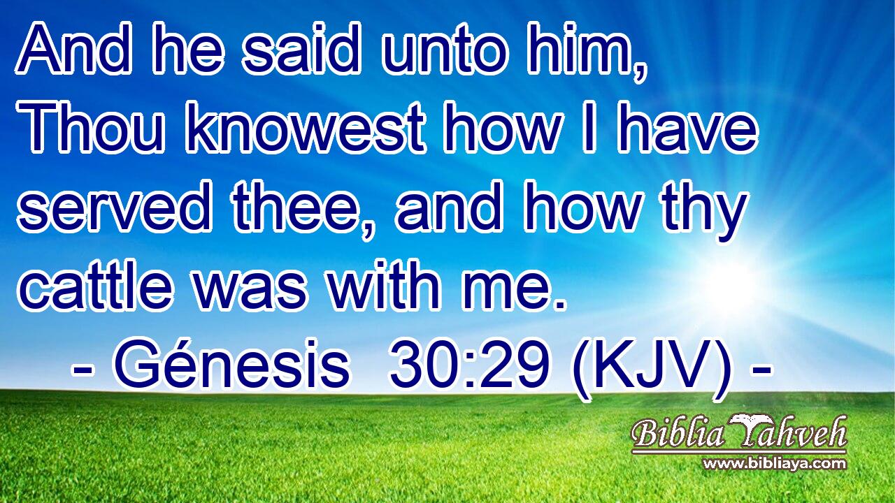 And he said unto him, Thou knowest how I have served thee, and how thy cattle was with me.