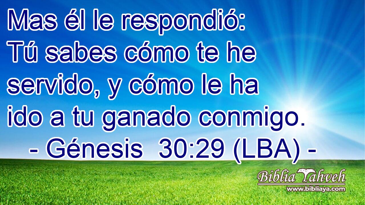 Mas él le respondió: Tú sabes cómo te he servido, y cómo le ha ido a tu ganado conmigo.