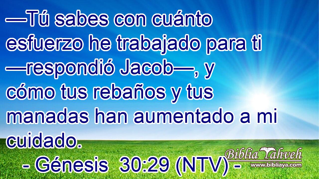 —Tú sabes con cuánto esfuerzo he trabajado para ti —respondió Jacob—, y cómo tus rebaños y tus manadas han aumentado a mi cuidado.