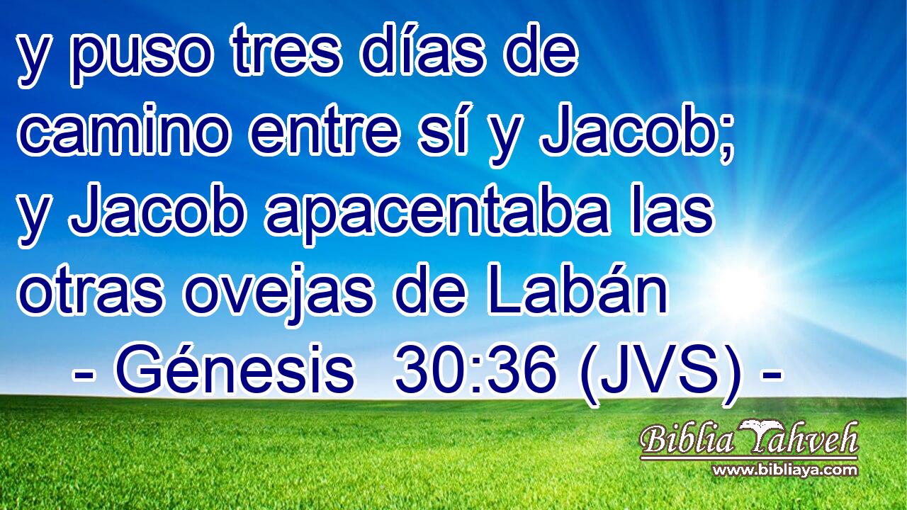 y puso tres días de camino entre sí y Jacob; y Jacob apacentaba las otras ovejas de Labán