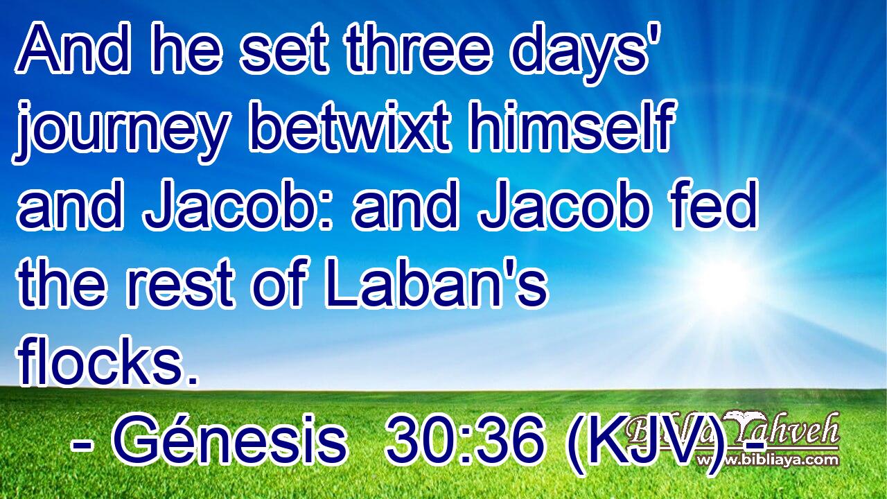 And he set three days' journey betwixt himself and Jacob: and Jacob fed the rest of Laban's flocks.