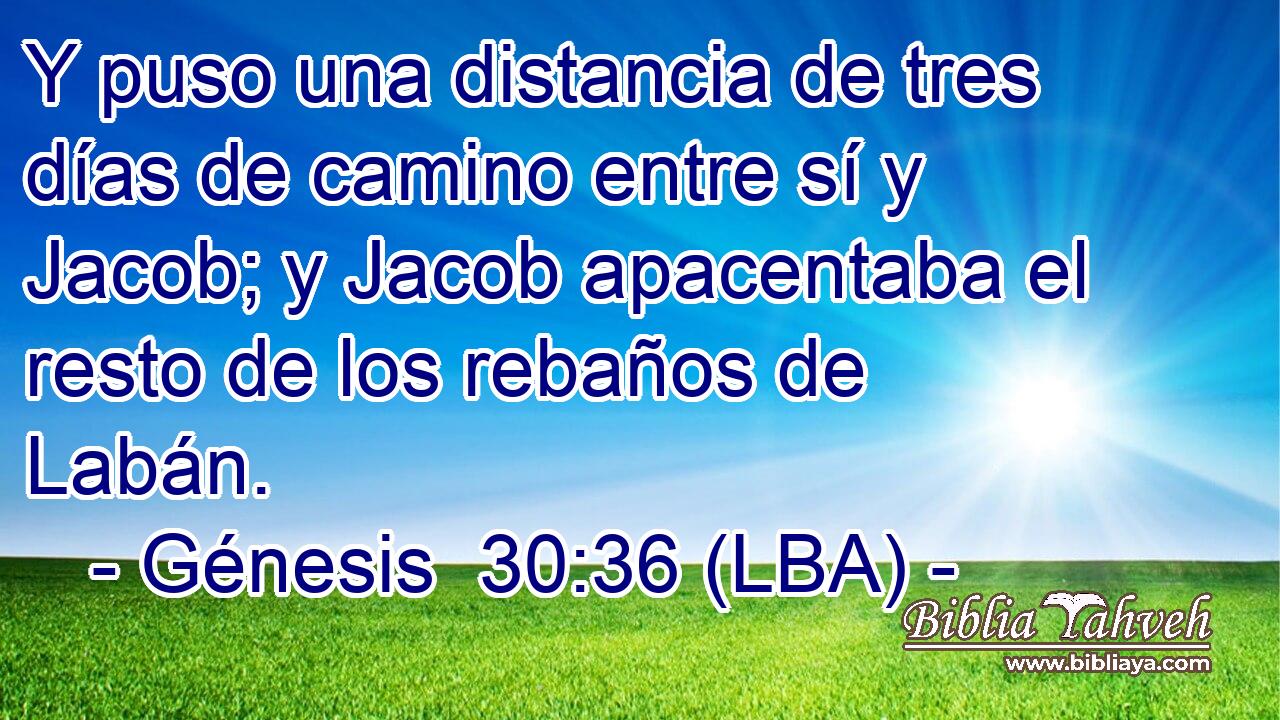 Y puso una distancia de tres días de camino entre sí y Jacob; y Jacob apacentaba el resto de los rebaños de Labán.