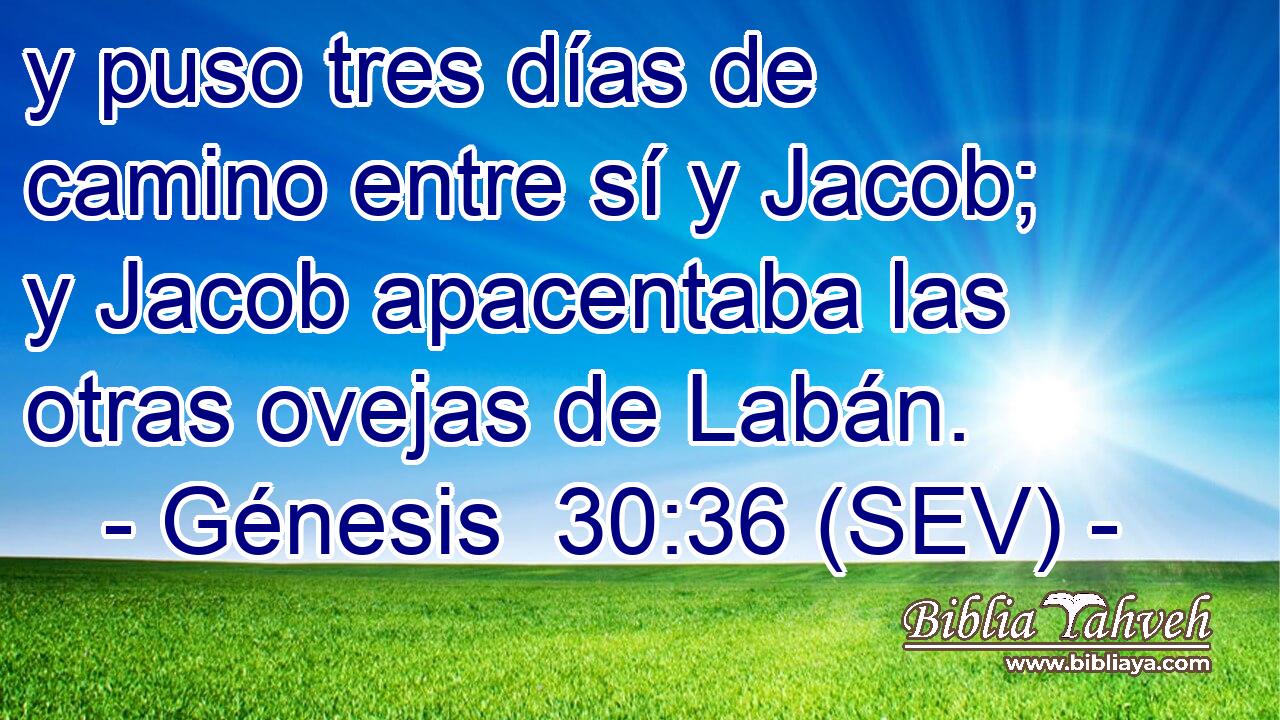 y puso tres días de camino entre sí y Jacob; y Jacob apacentaba las otras ovejas de Labán.