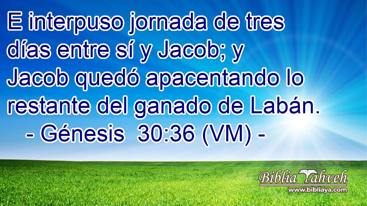  E interpuso jornada de tres días entre sí y Jacob; y Jacob quedó apacentando lo restante del ganado de Labán. 
