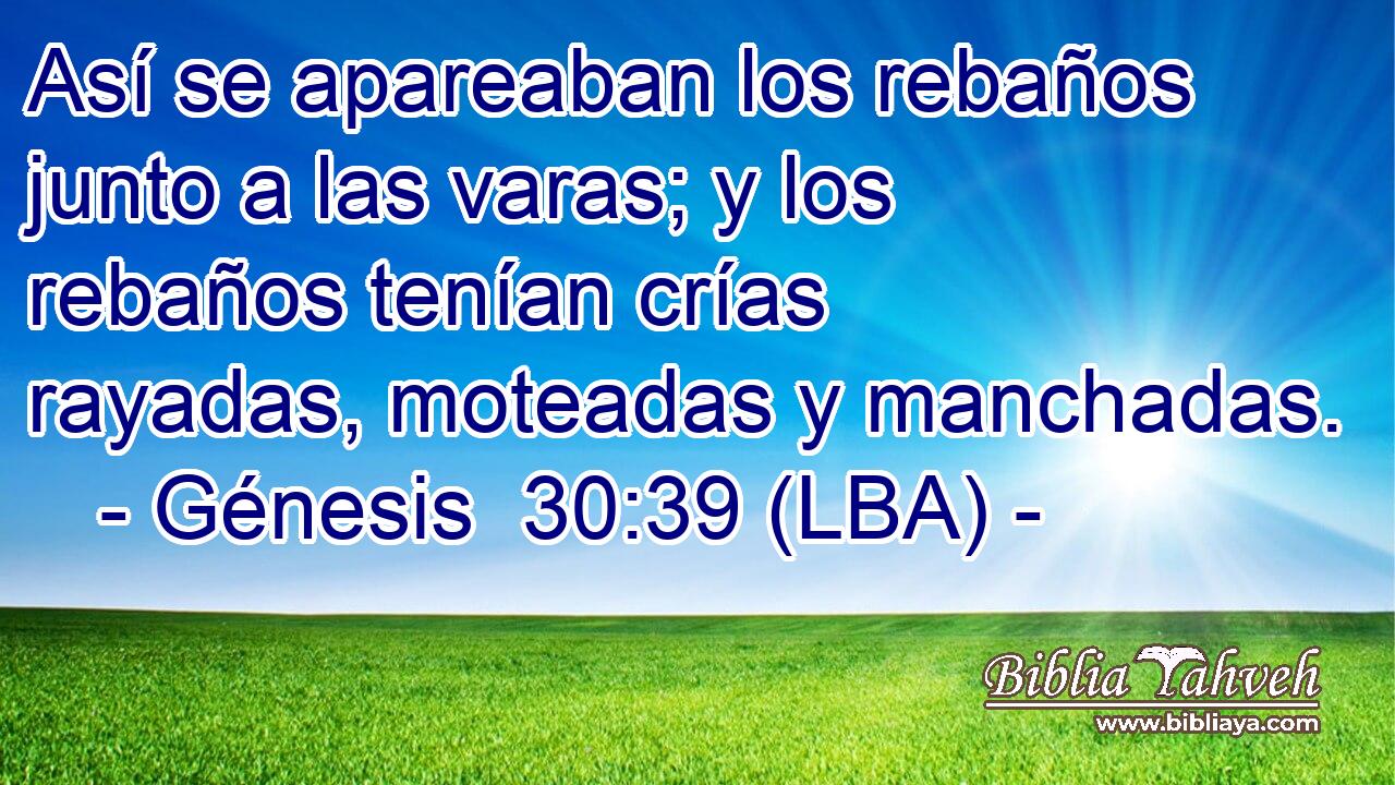 Así se apareaban los rebaños junto a las varas; y los rebaños tenían crías rayadas, moteadas y manchadas.