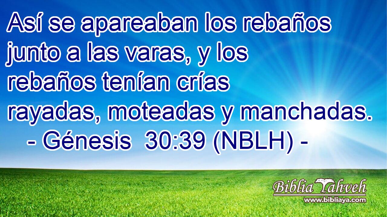  Así se apareaban los rebaños junto a las varas, y los rebaños tenían crías rayadas, moteadas y manchadas. 