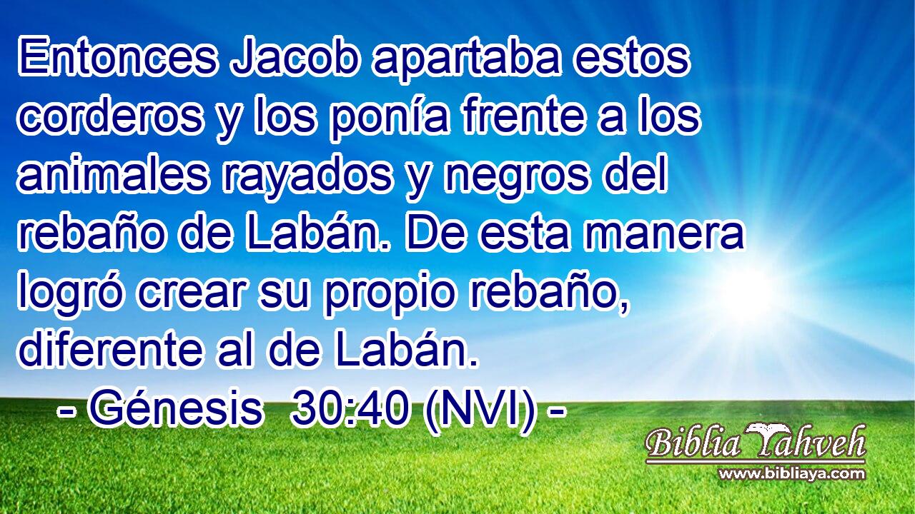  Entonces Jacob apartaba estos corderos y los ponía frente a los animales rayados y negros del rebaño de Labán. De esta manera logró crear su propio rebaño, diferente al de Labán. 