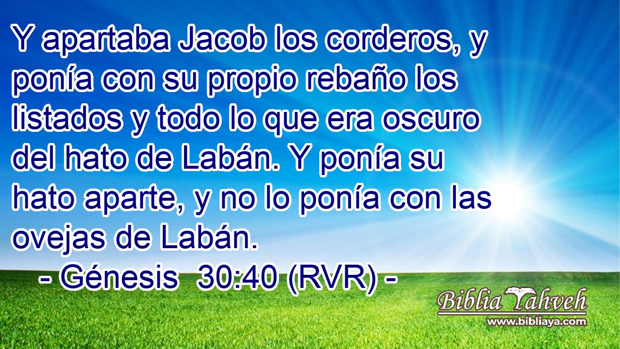 Y apartaba Jacob los corderos, y ponía con su propio rebaño los listados y todo lo que era oscuro del hato de Labán. Y ponía su hato aparte, y no lo ponía con las ovejas de Labán.