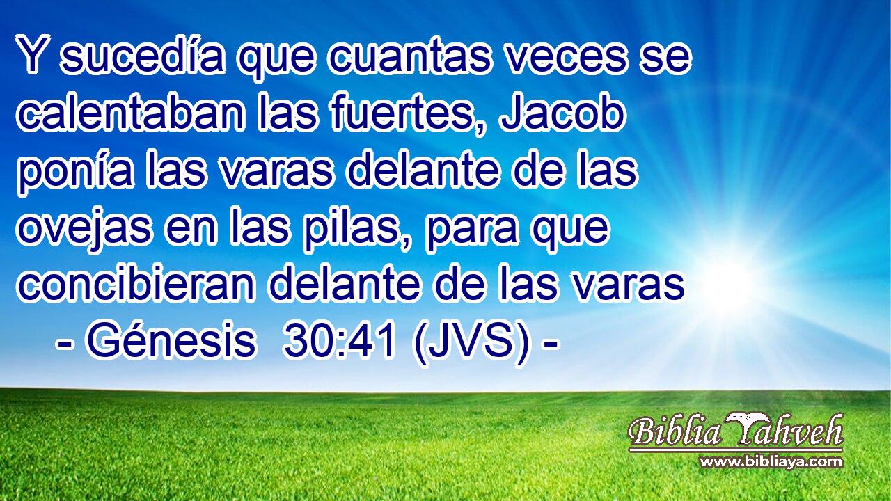 Y sucedía que cuantas veces se calentaban las fuertes, Jacob ponía las varas delante de las ovejas en las pilas, para que concibieran delante de las varas