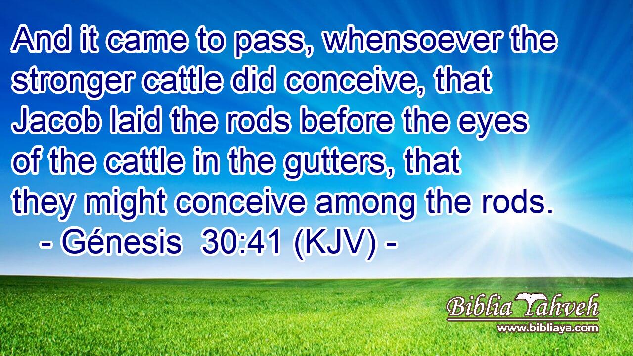 And it came to pass, whensoever the stronger cattle did conceive, that Jacob laid the rods before the eyes of the cattle in the gutters, that they might conceive among the rods.
