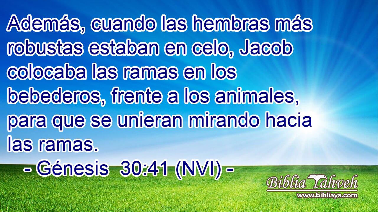  Además, cuando las hembras más robustas estaban en celo, Jacob colocaba las ramas en los bebederos, frente a los animales, para que se unieran mirando hacia las ramas. 
