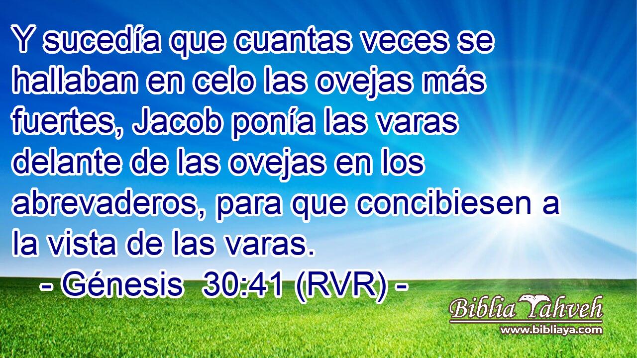 Y sucedía que cuantas veces se hallaban en celo las ovejas más fuertes, Jacob ponía las varas delante de las ovejas en los abrevaderos, para que concibiesen a la vista de las varas.