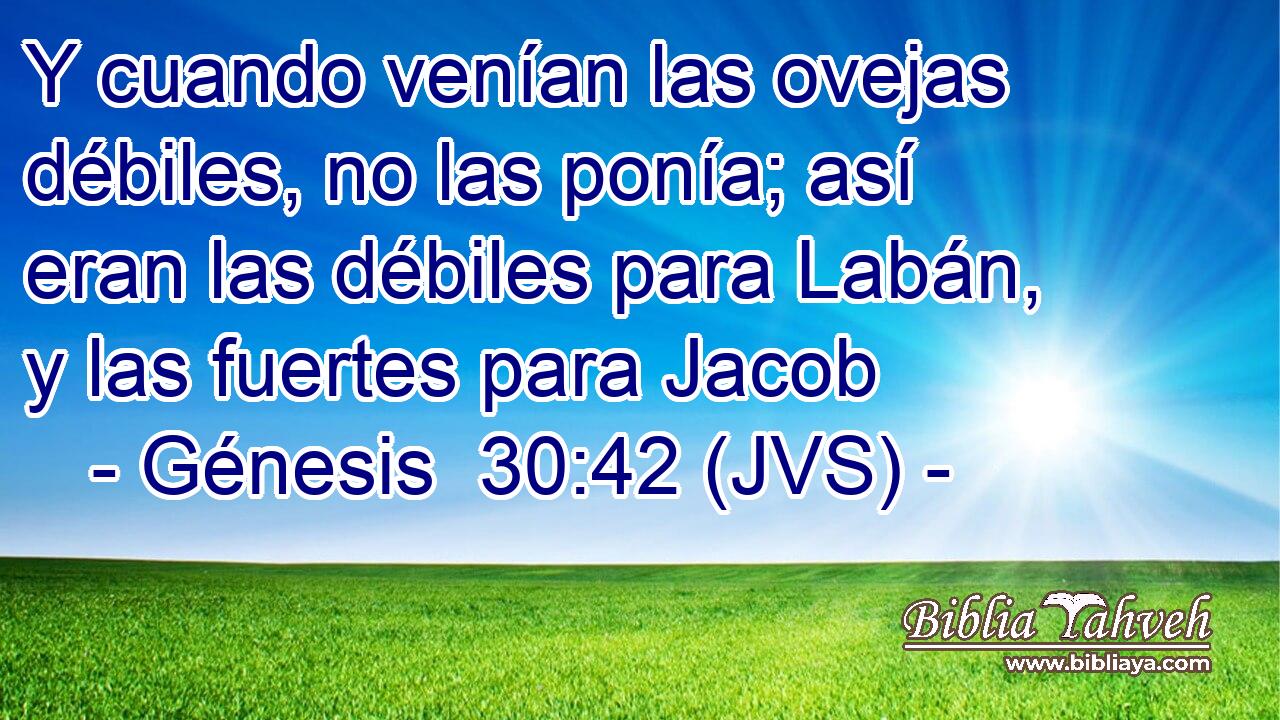Y cuando venían las ovejas débiles, no las ponía; así eran las débiles para Labán, y las fuertes para Jacob