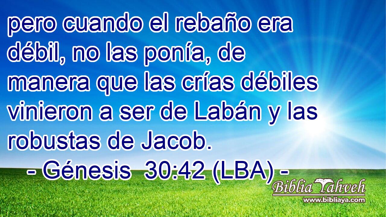 pero cuando el rebaño era débil, no las ponía, de manera que las crías débiles vinieron a ser de Labán y las robustas de Jacob.