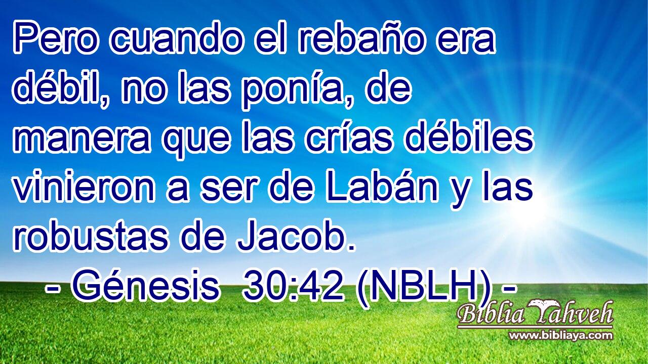  Pero cuando el rebaño era débil, no las ponía, de manera que las crías débiles vinieron a ser de Labán y las robustas de Jacob. 