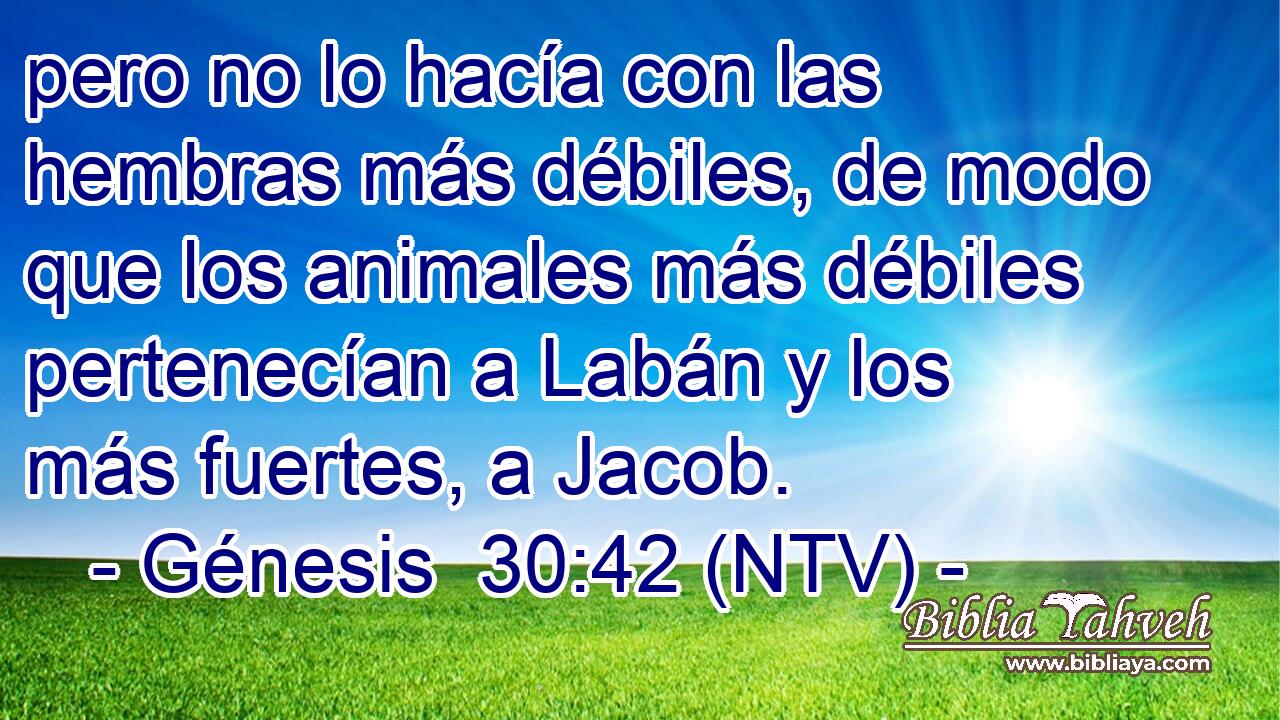 pero no lo hacía con las hembras más débiles, de modo que los animales más débiles pertenecían a Labán y los más fuertes, a Jacob.