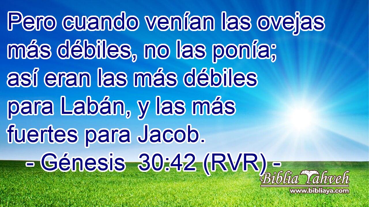 Pero cuando venían las ovejas más débiles, no las ponía; así eran las más débiles para Labán, y las más fuertes para Jacob.