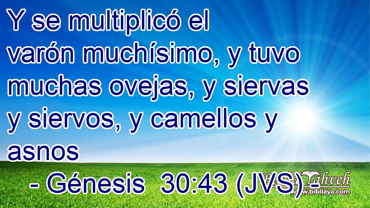 Y se multiplicó el varón muchísimo, y tuvo muchas ovejas, y siervas y siervos, y camellos y asnos