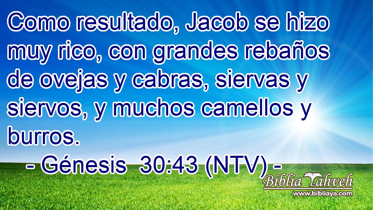 Como resultado, Jacob se hizo muy rico, con grandes rebaños de ovejas y cabras, siervas y siervos, y muchos camellos y burros.