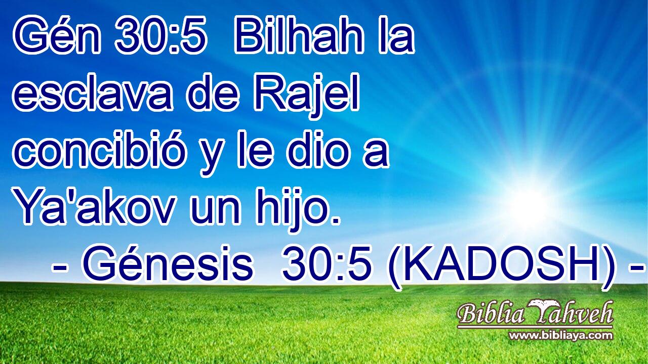  Bilhah la esclava de Rajel concibió y le dio a Ya'akov un hijo. 